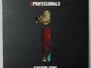 THE PROFESSIONALS #1 Kingdom Come 10
