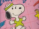 flashbeagle s/t lp Charles schulz snoopy Charlie Brown