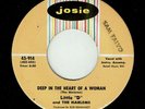 LITTLE „D“ & THE HARLEMS * Deep In The Heart Of A Woman * US Orig. Doo-Wop * MP3