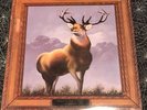 Killdozer 12 Point Buck LP Burgundy Colored Vinyl Touch And Go Records T&GLP#48