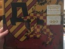 Avatar - The King Live In Paris 2 × Vinyl, LP, Limited Edition, Picture Disc FYE