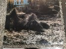 R.E.M. Murmur Vinyl Original I.R.S. STERLING  REM