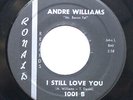 Andre Williams Ronald Records 45rpm 1961