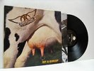 AEROSMITH get a grip 2X LP EX/EX-, GEF 24444, vinyl, album, with lyric inners