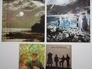Echo & The Bunnymen Vinyl Sliver The Killing Moon 12