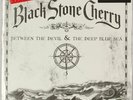 Black Stone Cherry, Between The Devil &amp; The Deep Blue Sea  Vinyl Rec