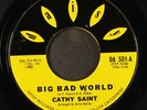 CATHY SAINT: big bad world / mr. heartbreak DAISY 7