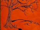 Complex - Complex Vinyl LP Orange Colour RSD 2021 NEW