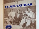 BLACK CAT TRAIL   MAMLISH LP   BLUES COMP   1970 1ST PRESS