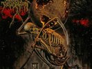 Cattle Decapitation - Death Atlas - Metallic Gold with Black Splatter 2 LP