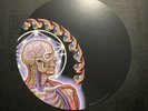 TOOL Band Official Lateralus Vinyl LP Picture Disc Paper ???