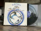 Camel The Snow Goose ORIGINAL UK Press on Decca w/insert STUNNING COPY  NM