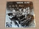 EX   Pallas/Arrive Alive/1982 Granite Wax 7