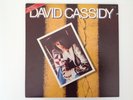 DAVID CASSIDY: GETTIN' IT IN THE STREET - LP Vinyl - RCA APL1-1852 - NEAR MINT