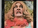FLEETWOOD MAC..LP..ENGLISH ROSE  EPIC  BN 26446   1969  1st Pressing