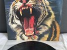 LP Tygers of Pan Tang - Wild Cat | Japan Press | M/M