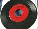 The Royal Knights - Long Long Ponytail 45 Fireball Maine rockabilly/garage HEAR