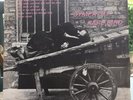 RARE BIRD - SYMPATHY/DEVIL'S HIGH CONCERN - 7
