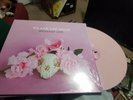 WE ARE THE UNION ORDINARY LIFE PINK LP LESS THAN JAKE CATCH 22 MIGHTY BOSSTONES