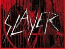SLAYER  THE VINYL CONFLICT 11 LP's 180g. Audiophile Vinyl MailedFrom Los Angeles