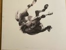 Anberlin Dark Is The Way, Light Is A Place Record Album Vinyl LP