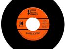 PRINCE & THE PAUPERS-JR RECORDS45--“EXIT-SHOULDER OF A GIANT”-MANKATO, MN-1965