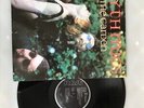 Eurythmics-In The Garden-VINYL LP-EU press-USED-RELP_1623