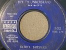 HTF Soul KENNY SHEPARD 45 Promo MAXX Record What Difference Does It Make WOW