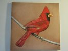 Alexisonfire Old Crows/Young Cardinals 2LP vinyl
