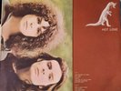 ITALIAN TYRANNOSAURUS REX HOT LOVE PROMO ALBUM.
