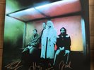 Wolf Alice  - Blue Weekend  12” Black Vinyl Lp Signed Autographed