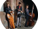 Stray Cats - Live At The Roxy 1981 [Used Very Good Vinyl LP] Picture Disc
