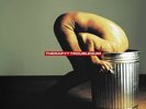 Therapy - Troublegum [Used Very Good Vinyl LP] Black, 180 Gram, Holland - Import