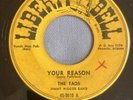 DOO WOP 45 TADS LIBERTY BELL 9010 YOUR REASON / THE PINK PANTHER