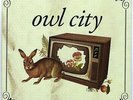 Owl City 