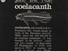 John The Fish Coelacanth LP VINYL Sweet Folk And Country 1975