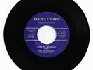 RARE  DOO WOP 45 THE ENCHANTERS I LIED TO MY HEART ON MUSITRON VG ORIG 2ND PRESS