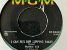 NORTHERN SOUL Mamie lee 'i can feel him slipping away' US original