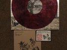 Lukas Nelson: Turn Off The News Build A Garden-Purple/black Disc With 45 & Patch