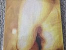 SMASHING PUMPKINS - Pisces Iscariot 2 x LP 180 Gram Vinyl Album