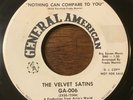 The Velvet Satins 