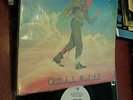 OINGO BOINGO ONLY A LAD LP A&M LABEL SP4863 FROM 1981 VG+ W/ INNER SLEEVE