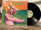 Missing Link Nevergreen  VERY RARE PROG ORIGINAL Gatefold German Press  NM-