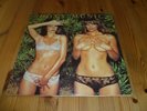 ROXY MUSIC COUNTRY LIFE ISLAND PINK RIM VINYL LP 1ST A2 B1 SUPER PLAY