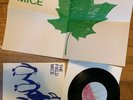 Field Mice Sarah Records 18 - Sensitive 42 with Leaf Poster  RARE  MINT