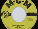 Rockabilly 45 JIMMY SWAN Country Cattin' MGM HEAR