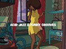 Various Artists - Acid Jazz & Funky Grooves / Various [New Vinyl LP] Italy - Imp