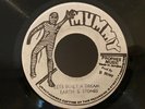 Reggae 45 EARTH & STONES Let's Build A Dream THE MERCENARIES Version MUMMY NM-