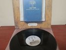 Frightened Rabbit - Pedestrian Verse vinyl LP