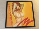 GUNS AND ROSES - Patience /  2 LP Set